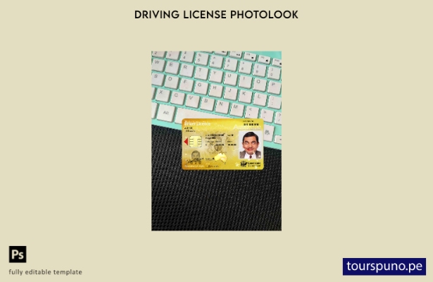 listo para imprimir Plantilla FRONTAL de aspecto fotográfico del permiso de co 5